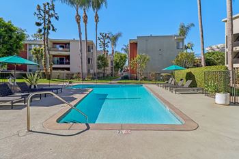 A swimming pool surrounded by palm trees and lounge chairs.